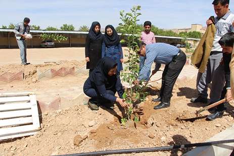 گرامیداشت روز درختکاری در بیمارستان خاتم الانبیاء خفر 